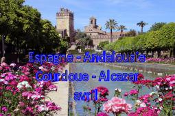 Espagne Andalousie Cordoue Alcazar 04/2014