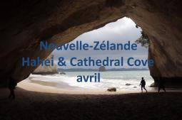 Nouvelle-Zélande - Hahei & Cathedral Cove 04/2019